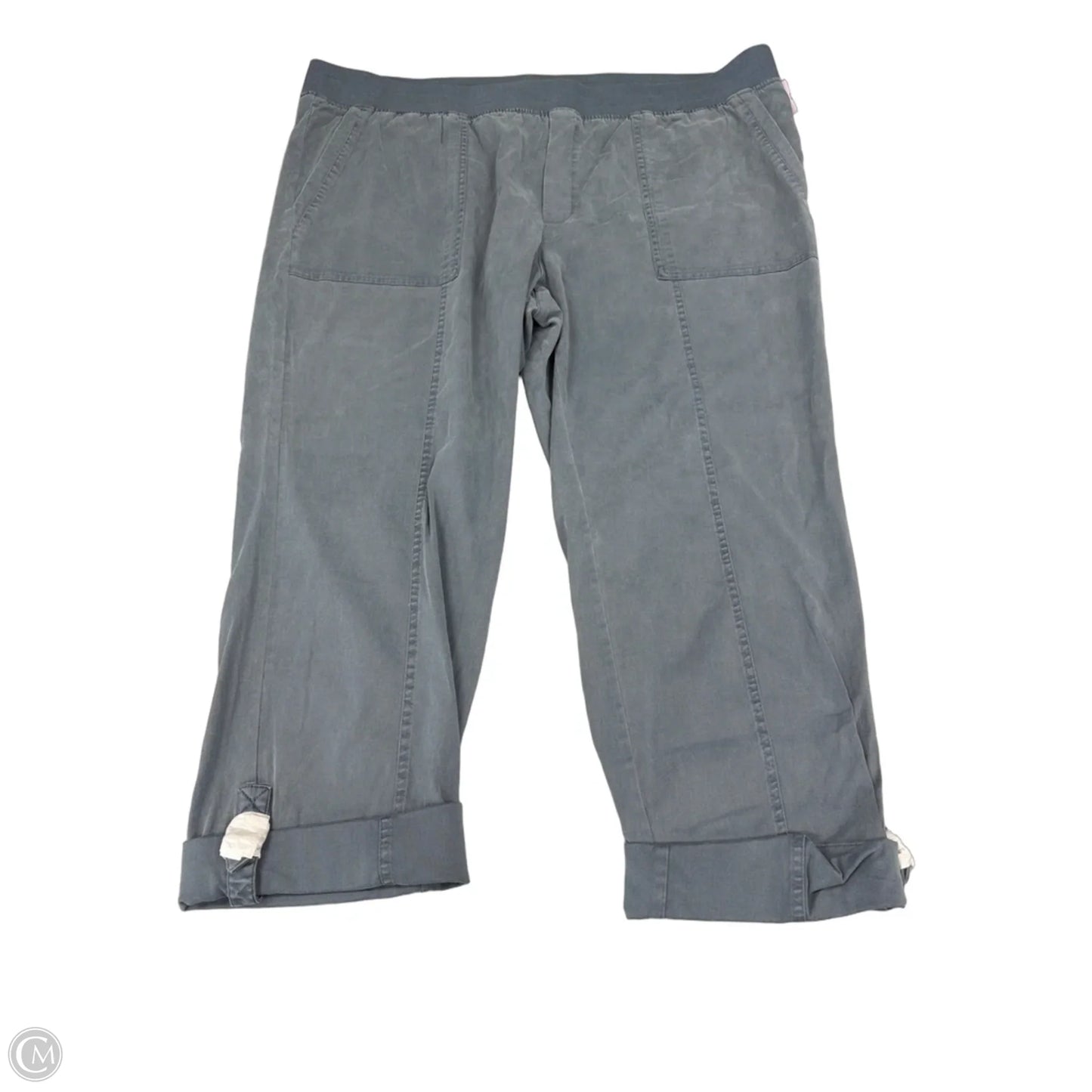 Pants Other By Soft Surroundings In Blue, Size: 3x