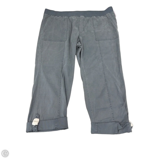 Pants Other By Soft Surroundings In Blue, Size: 3x