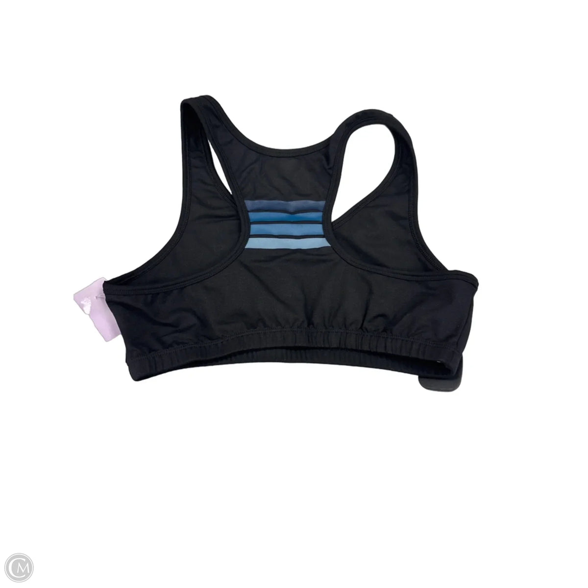 Athletic Bra By Aviator Nation In Black, Size: M