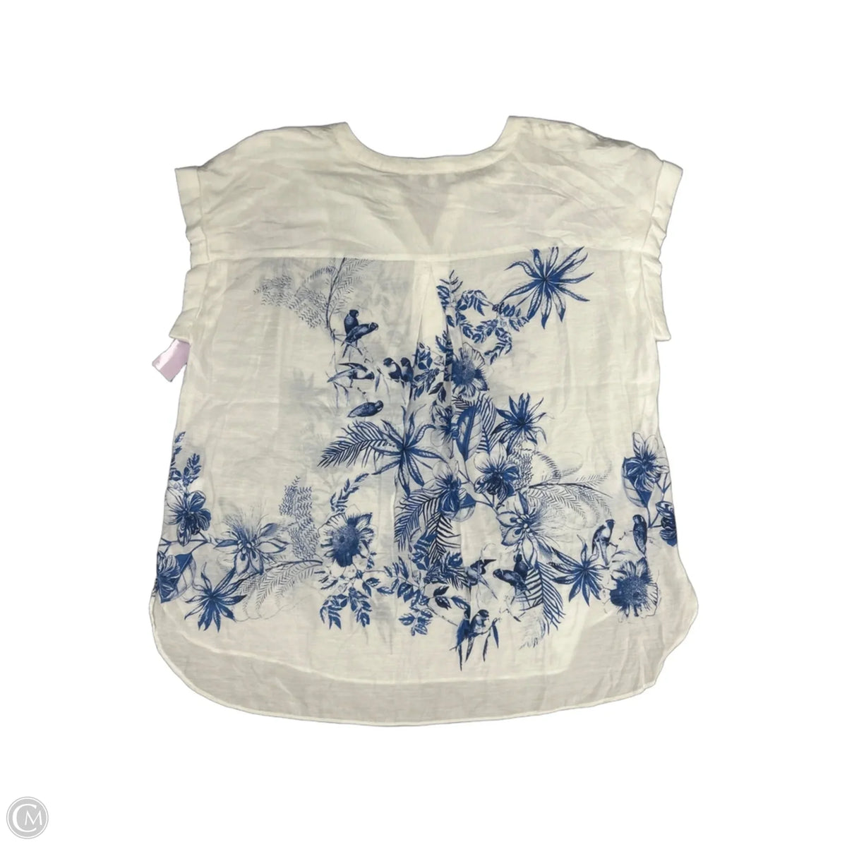 Top Short Sleeve By Rose And Olive In White, Size: 1x