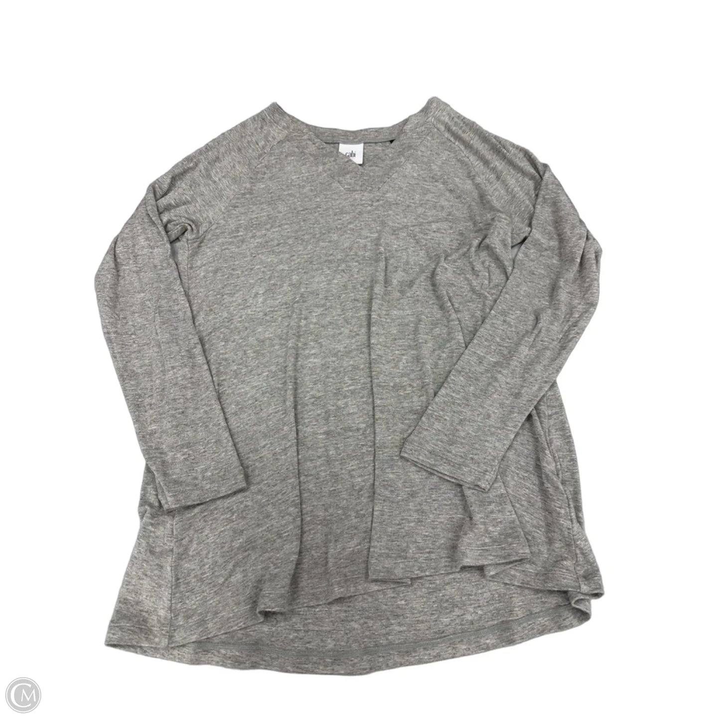 Top Long Sleeve By Cabi In Grey, Size: Xs