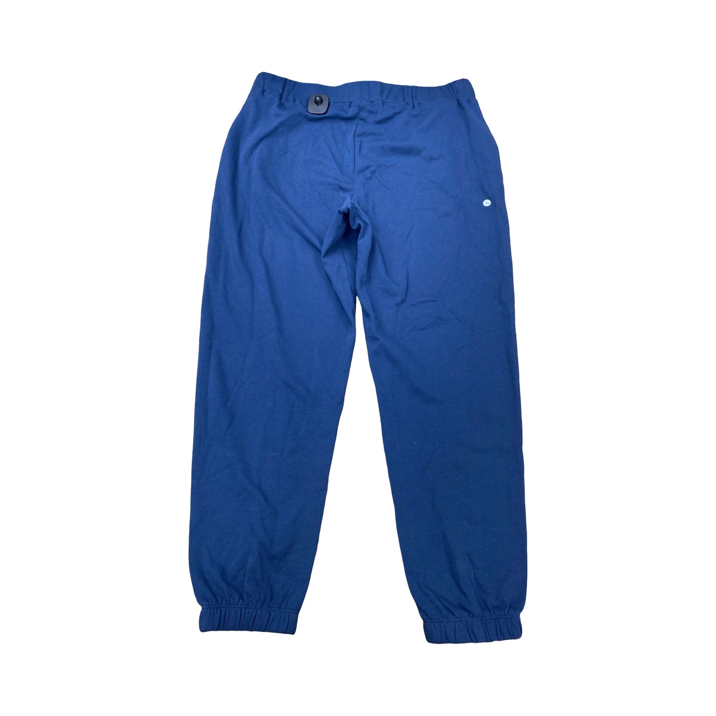 Pants Joggers By Eddie Bauer In Blue, Size:L