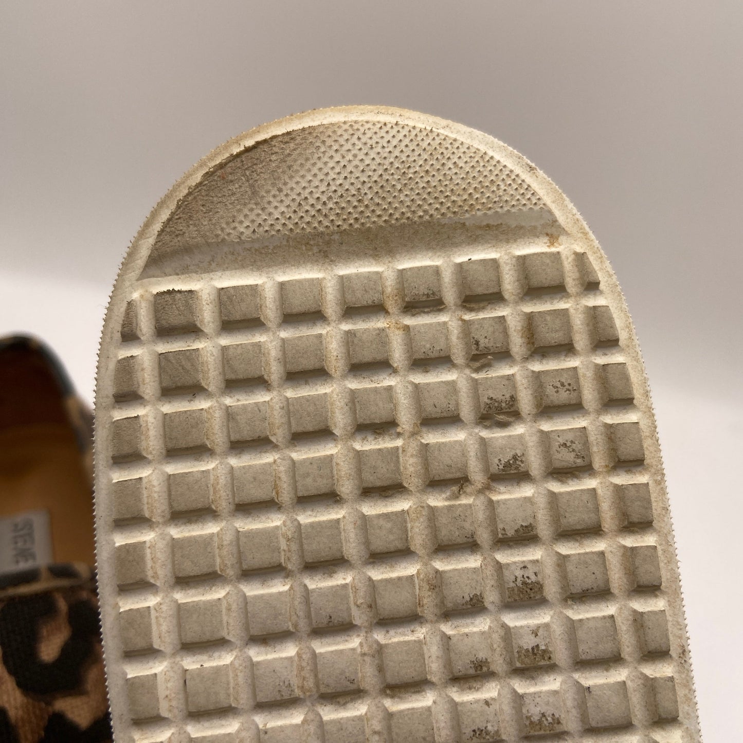 Shoes Sneakers Platform By Steve Madden In Animal Print, Size: 7