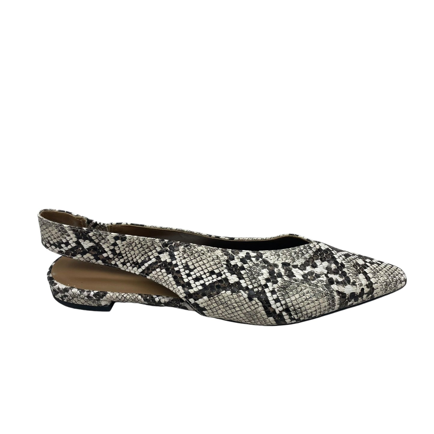 Shoes Flats By Topshop In Snakeskin Print, Size:8.5