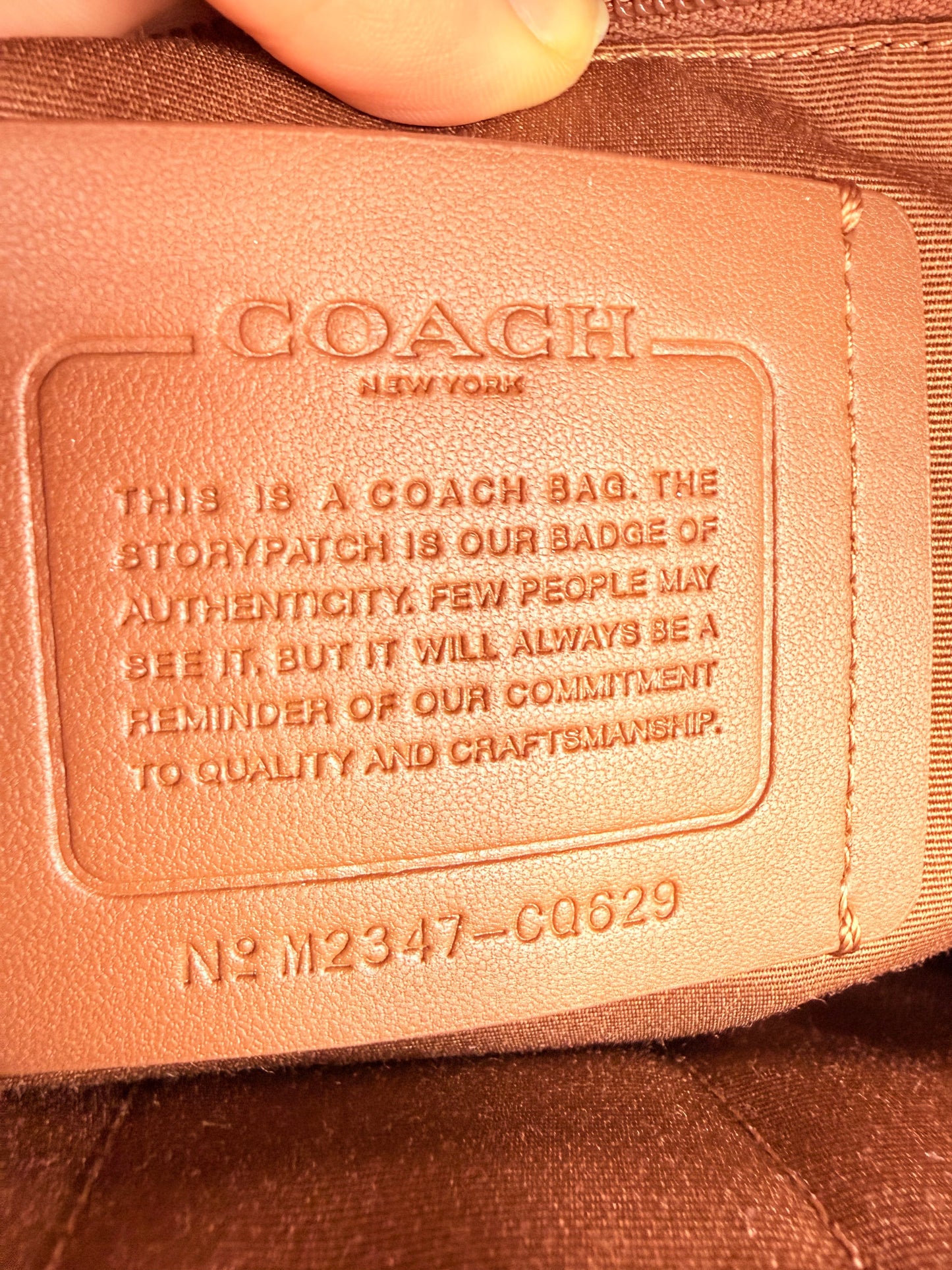 Backpack Designer By Coach, Size: Large