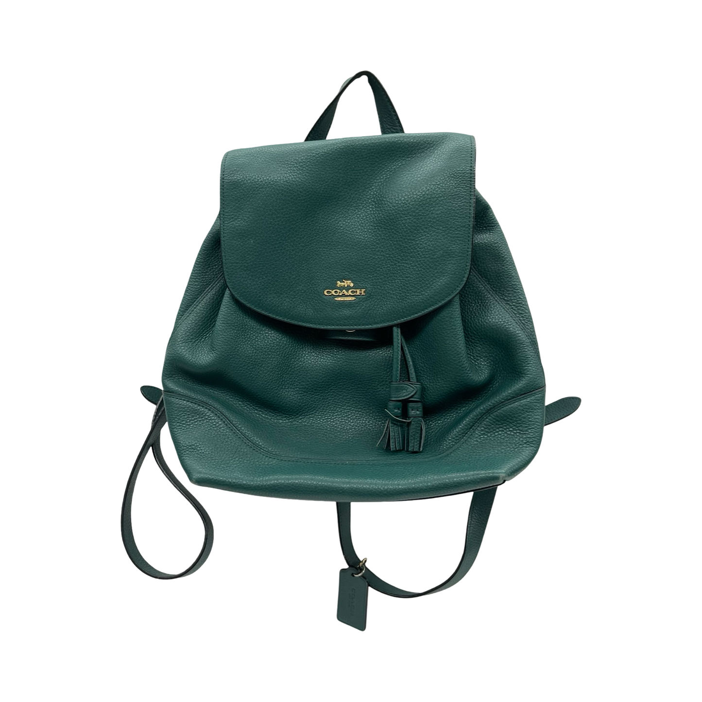 Backpack Designer By Coach In Green, Size:Medium