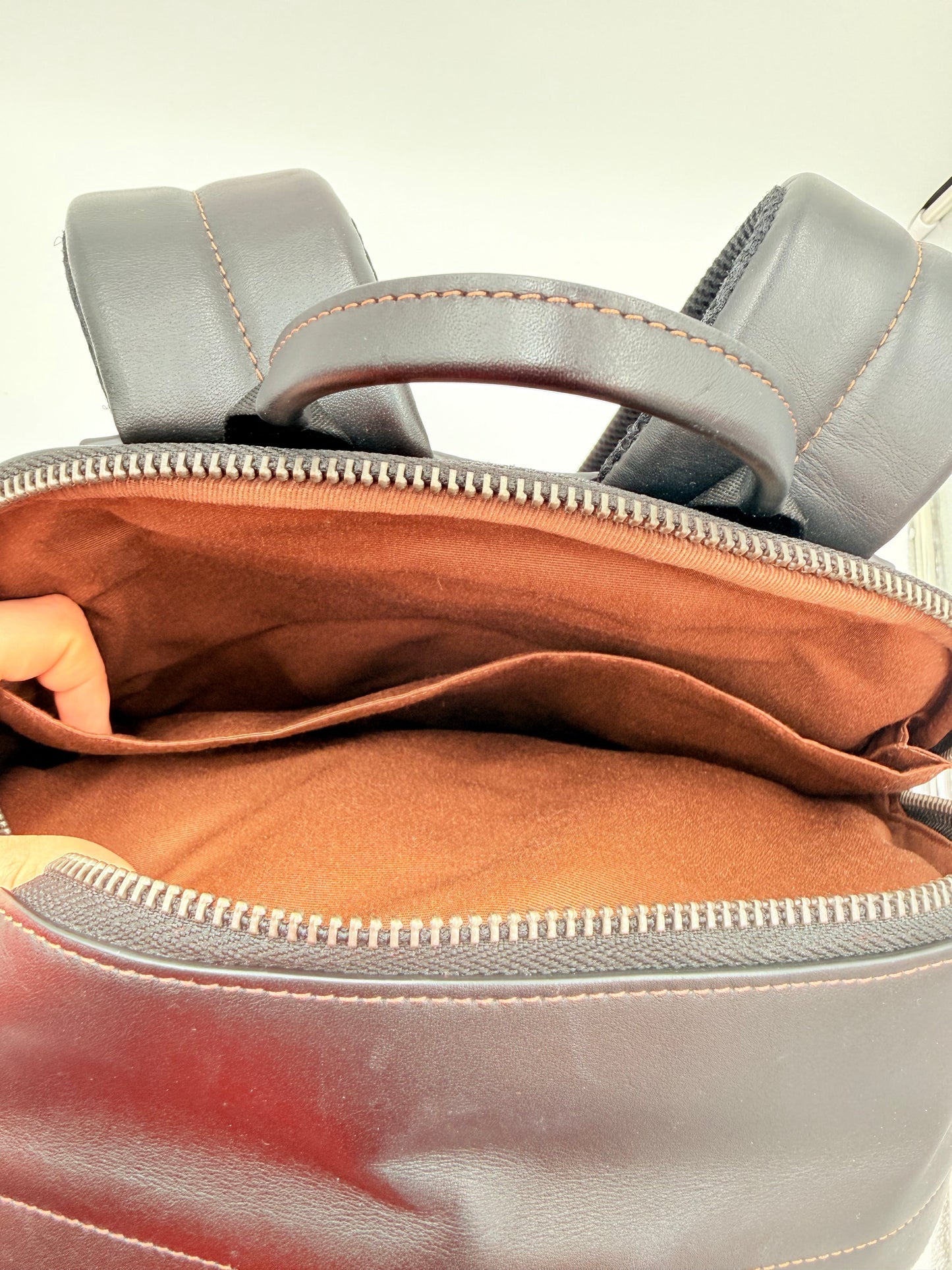 Backpack Designer By Coach, Size: Large