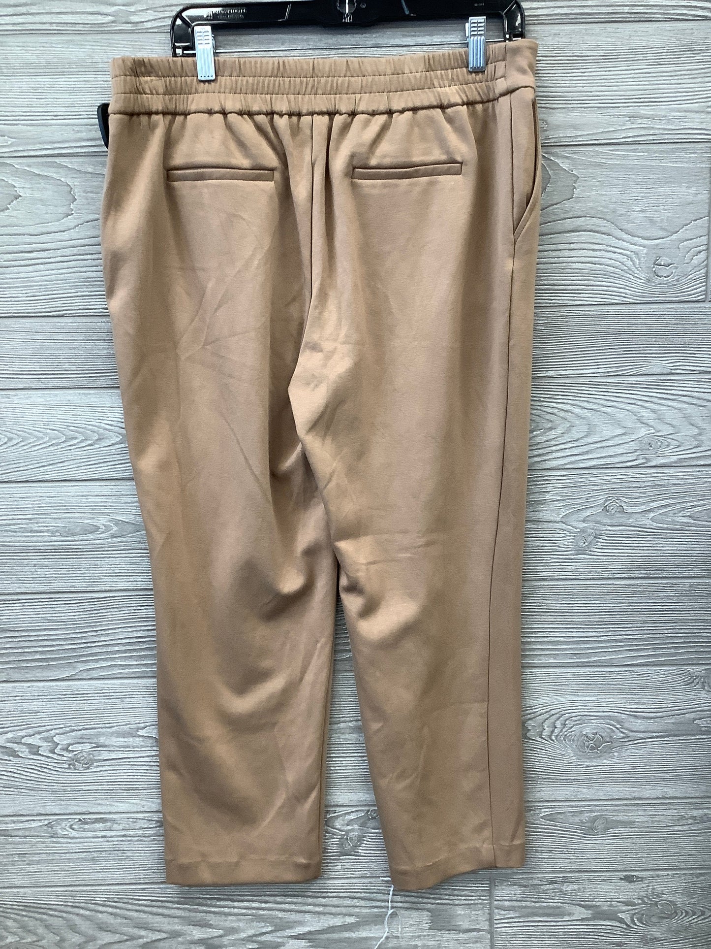 Capris By Rachel Zoe  Size: 10