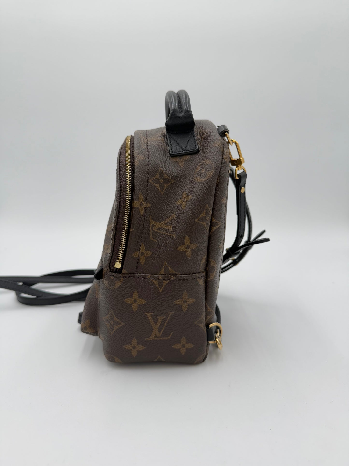 Backpack Luxury Designer By Louis Vuitton, Size: Small