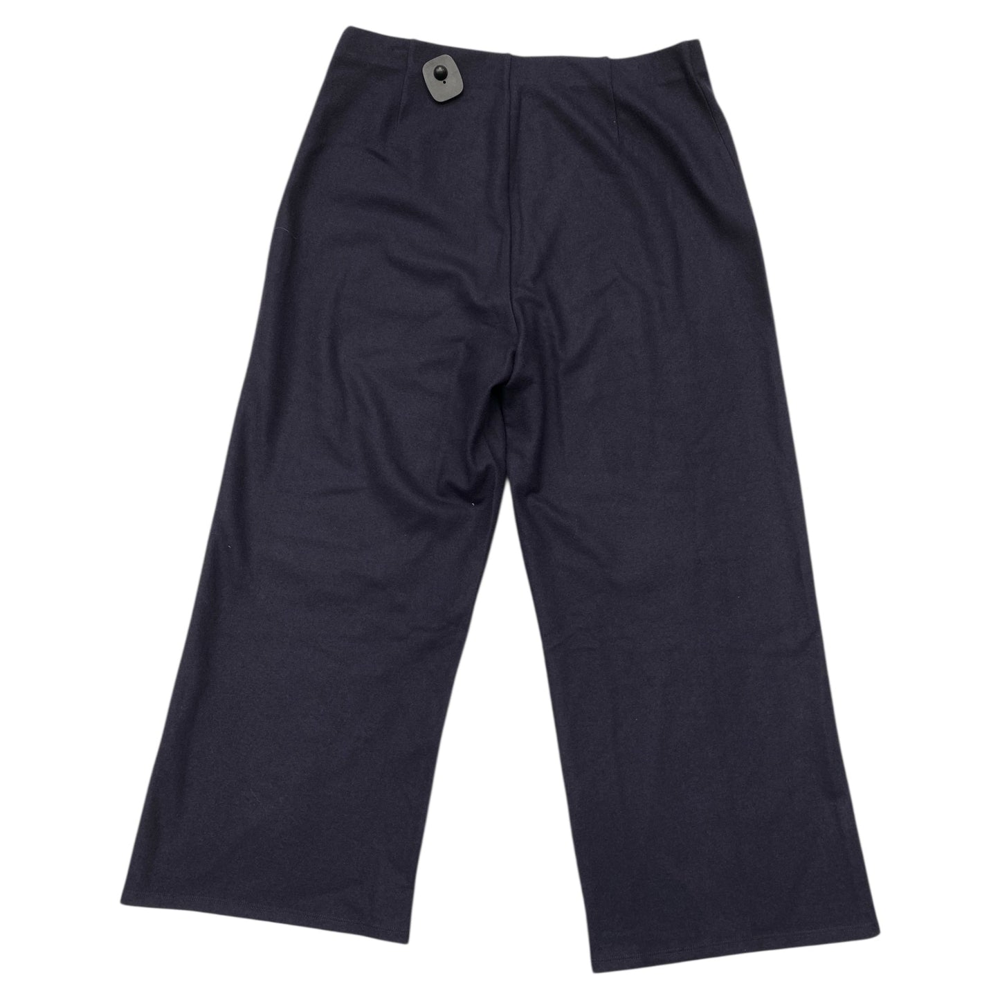 Pants Designer By Eileen Fisher In Purple, Size:L