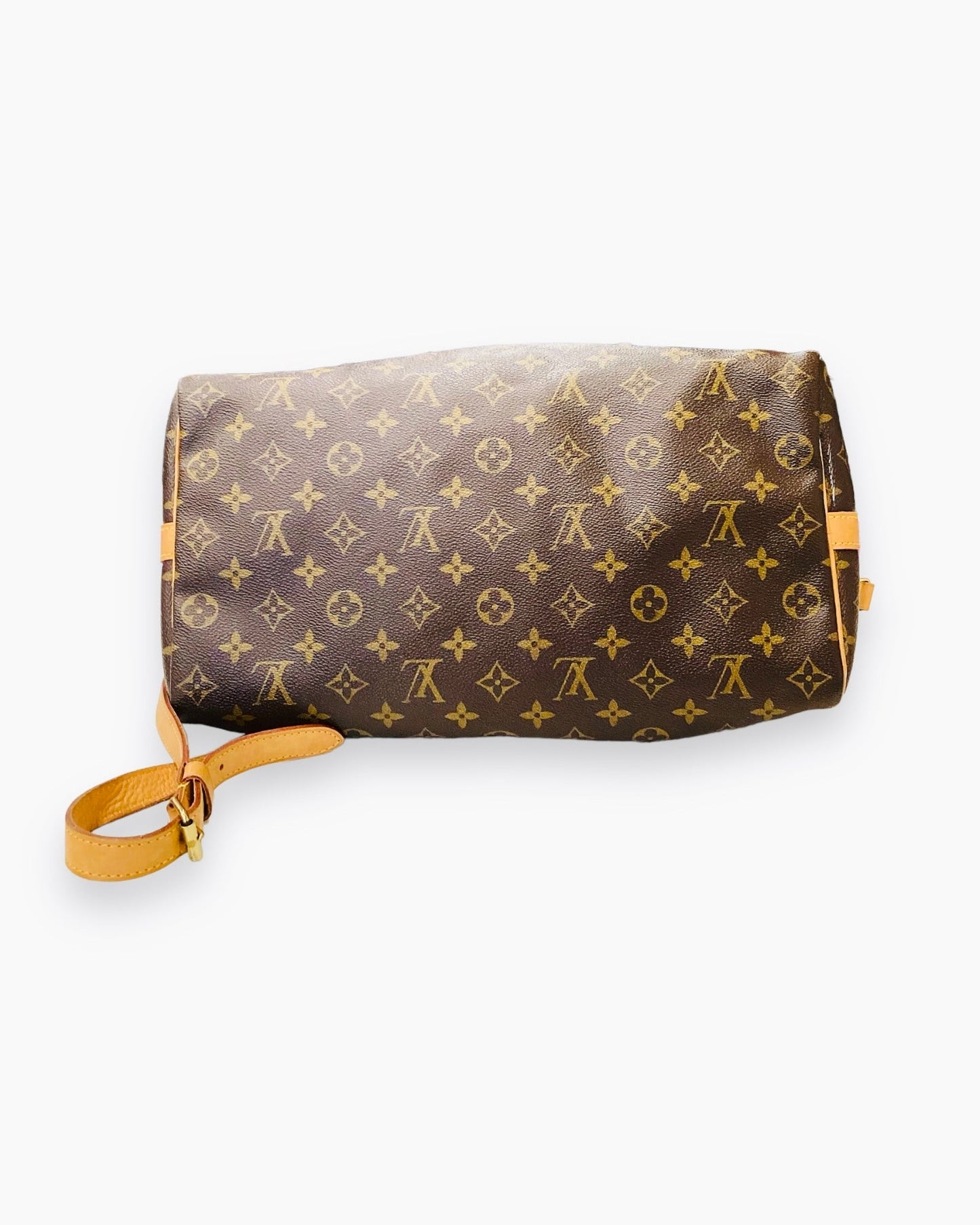 Luxury Designer Handbag by Louis Vuitton