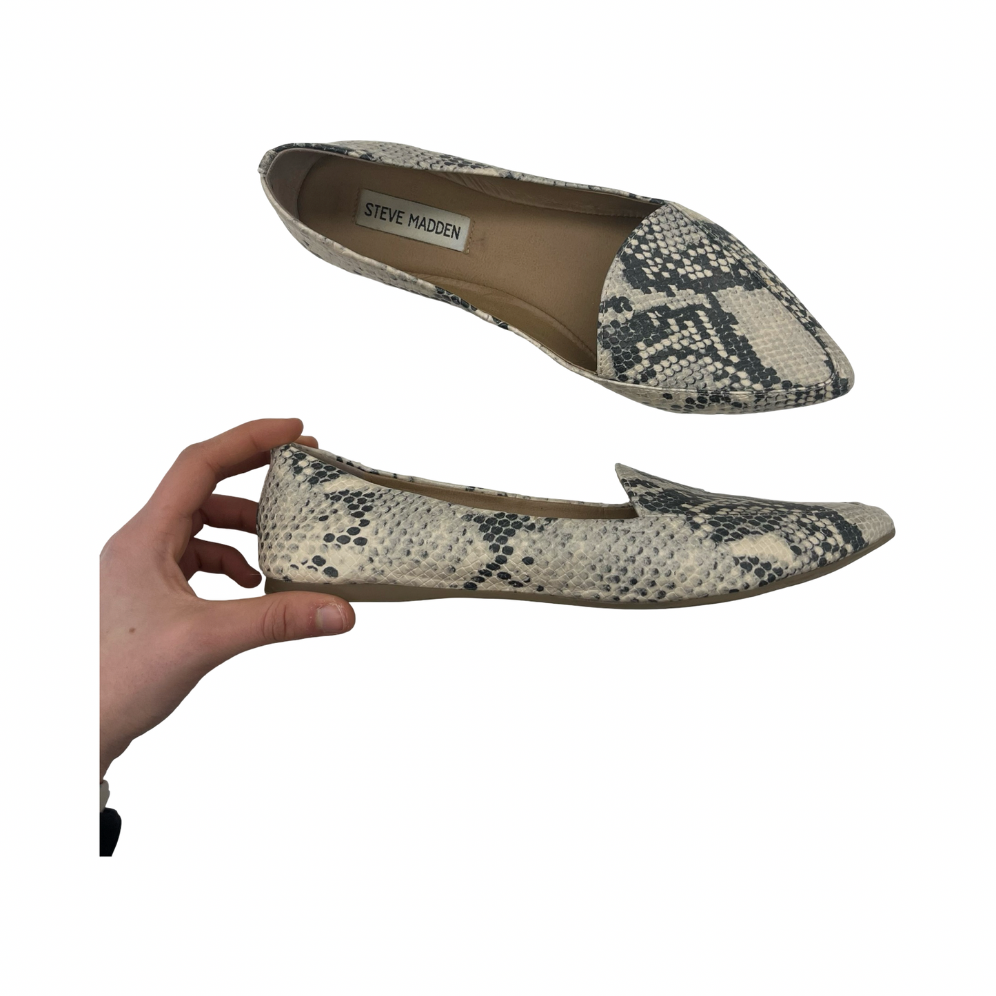 Shoes Flats By Steve Madden In Snakeskin Print, Size:8.5