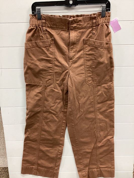 Pants Chinos & Khakis By Kensie In Brown, Size:4