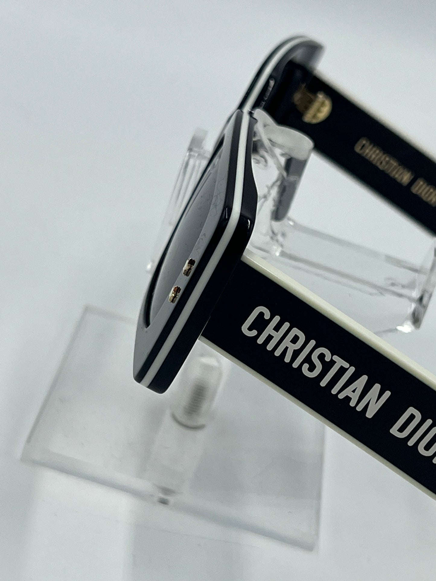 Christian Dior Wildior Sunglasses