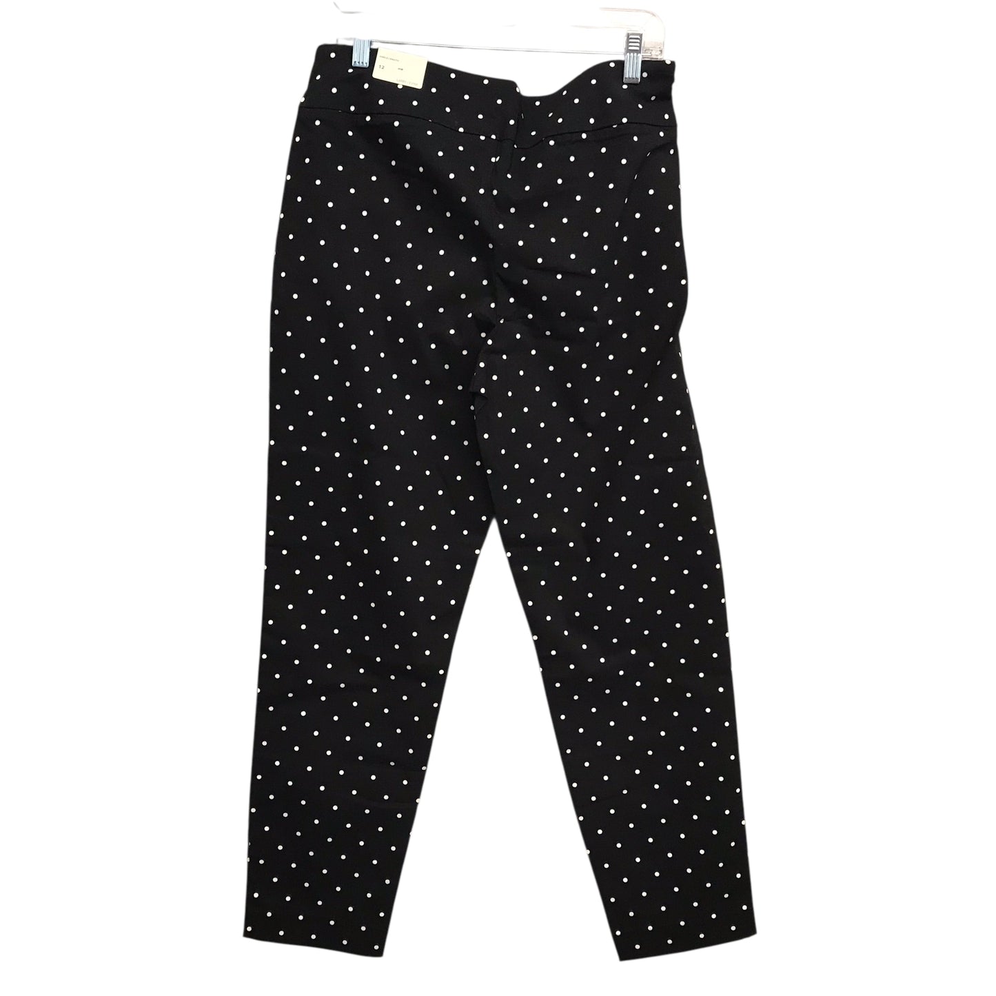 Pants Cropped By Larry Levine In Polkadot Pattern, Size:12