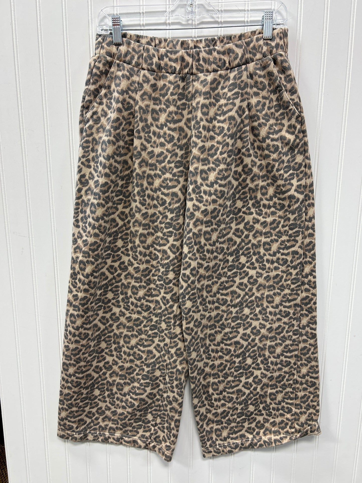 Athletic Pants By Aerie In Animal Print, Size:Mp