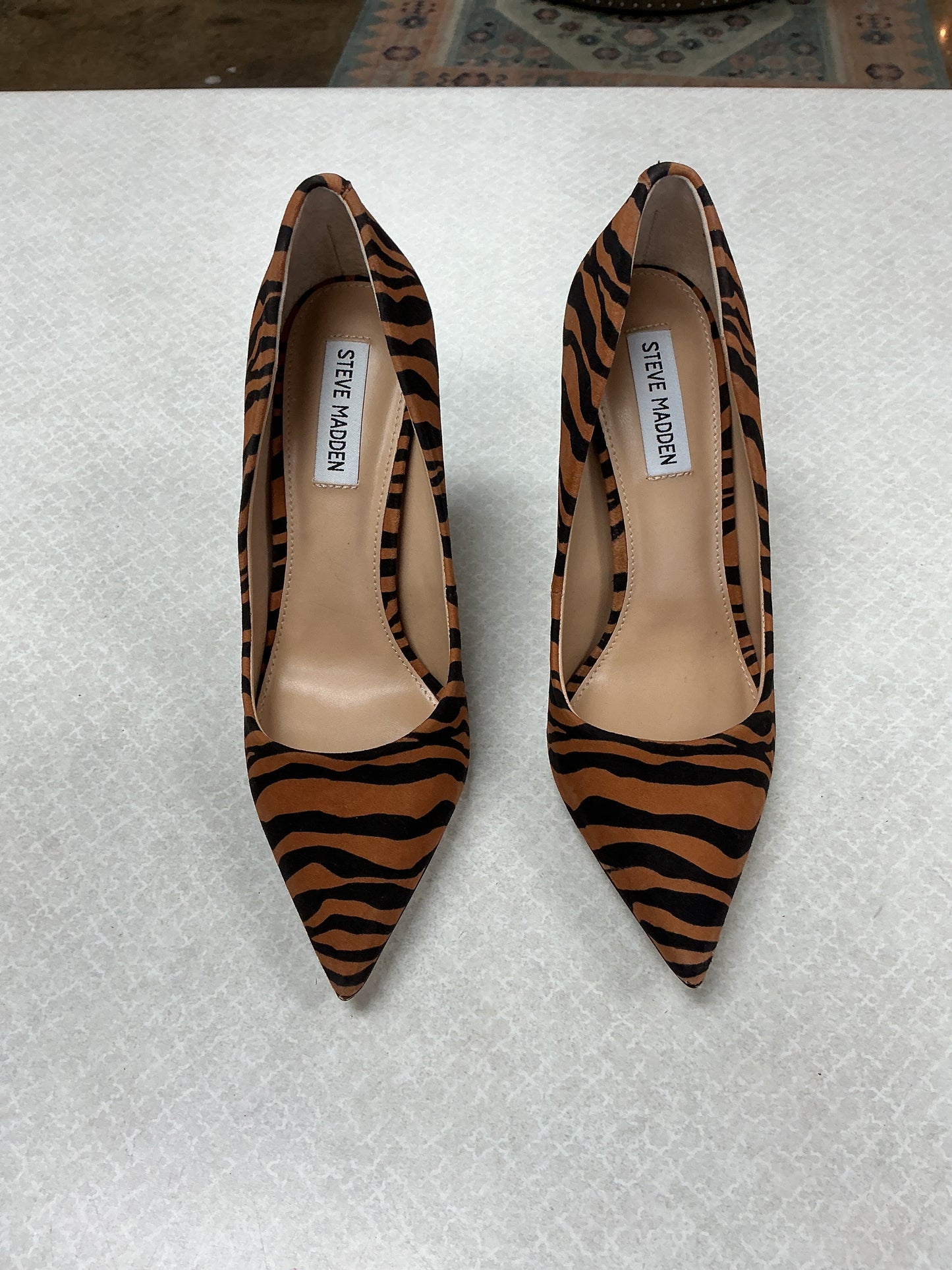 Shoes Heels Stiletto By Steve Madden In Animal Print, Size:8.5