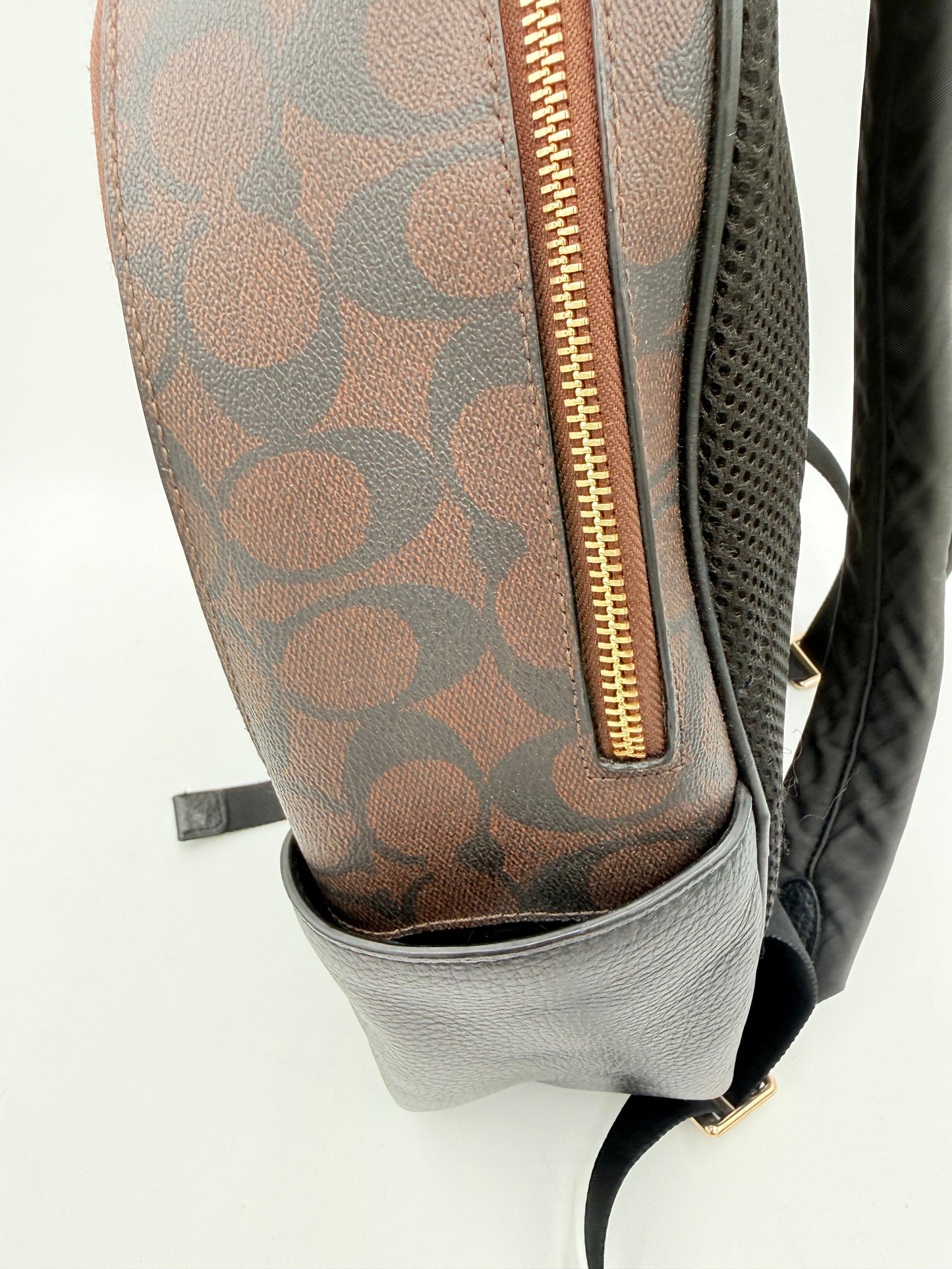 Backpack Designer By Coach, Size: Small