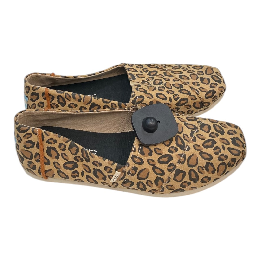 Shoes Flats By Toms In Animal Print, Size:8.5
