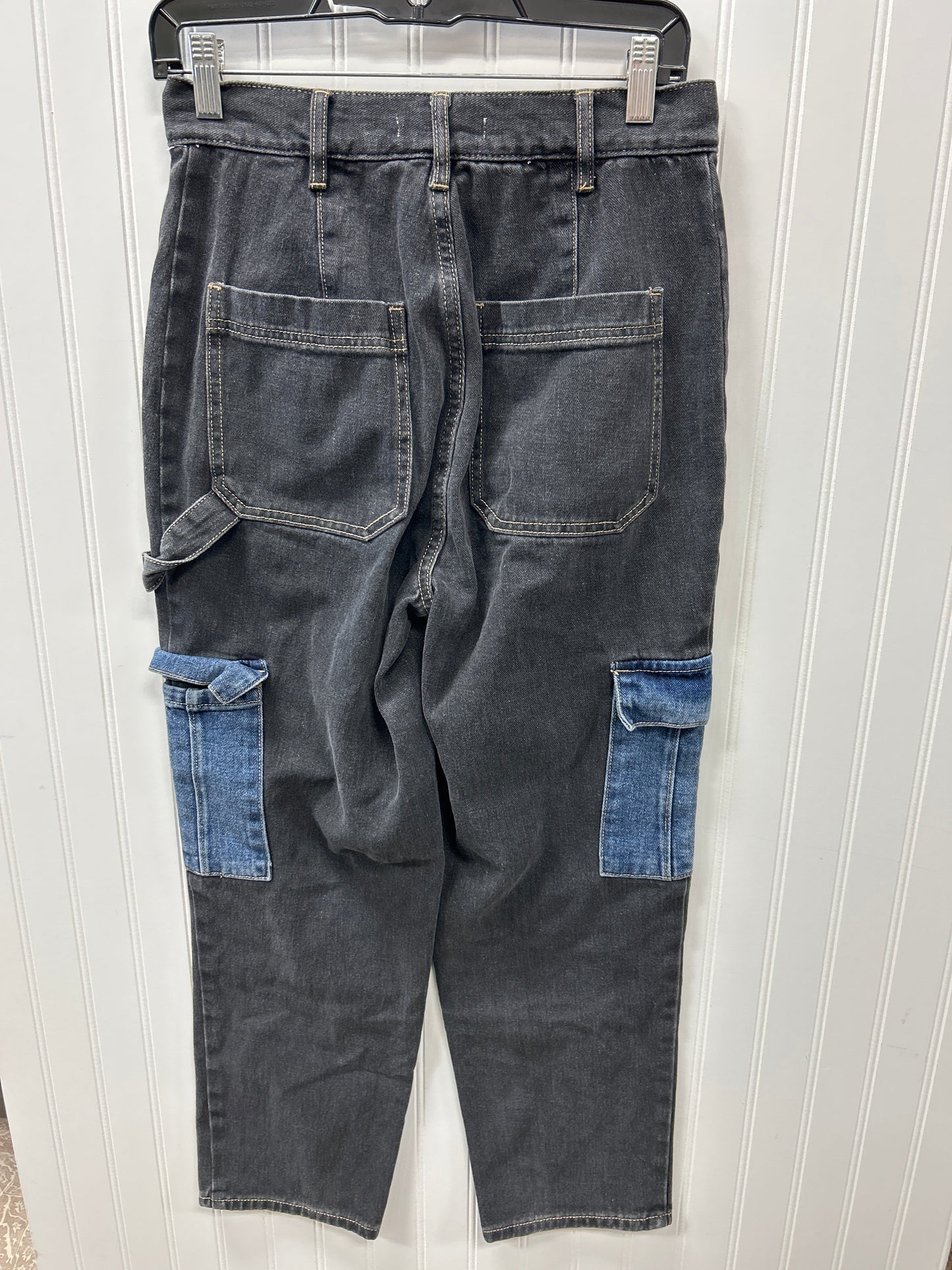 Pants Cargo & Utility By Pacsun In Blue Denim, Size:4