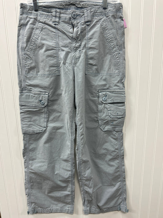 Pants Cargo & Utility By American Eagle In Blue, Size:12