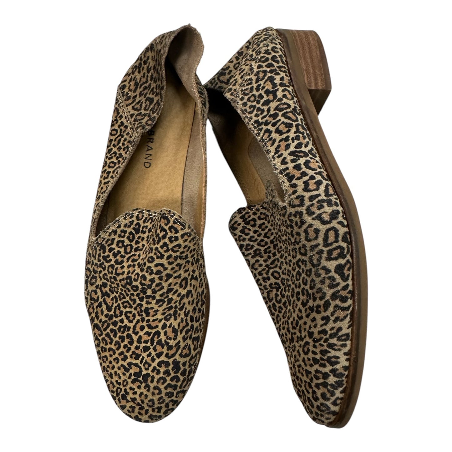 Shoes Flats By Lucky Brand In Animal Print, Size:8.5