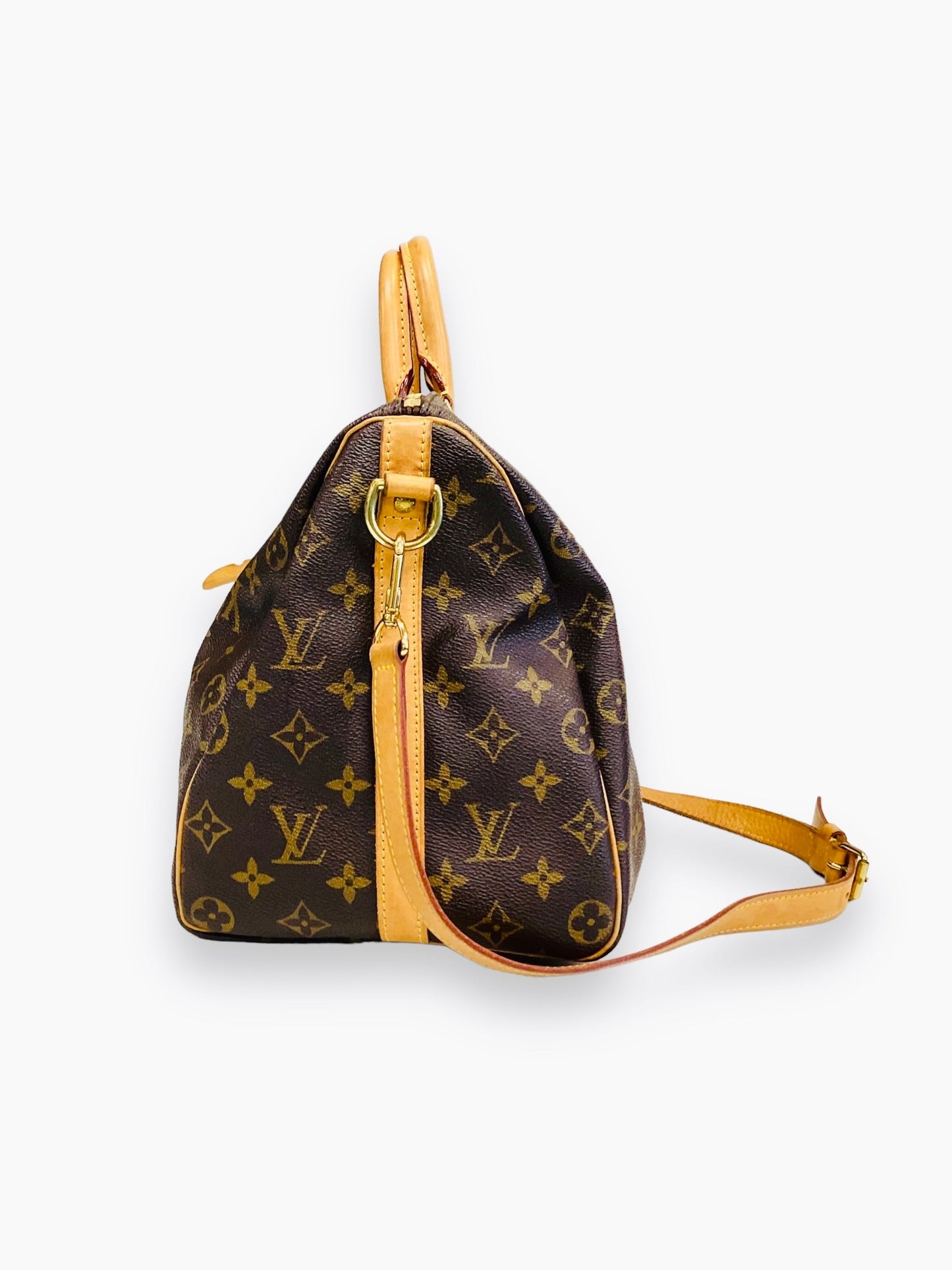 Luxury Designer Handbag by Louis Vuitton
