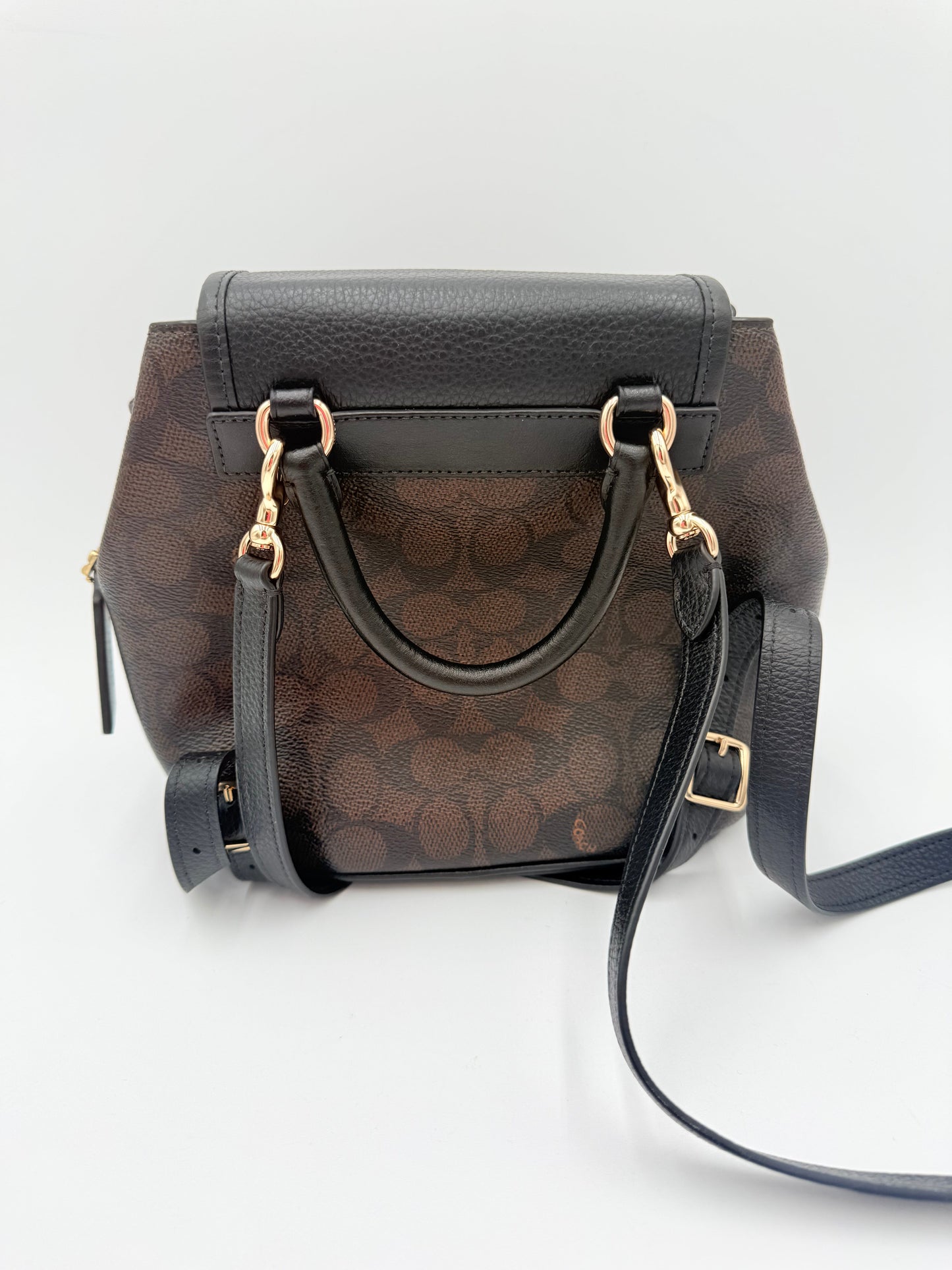 Backpack Designer By Coach, Size: Medium