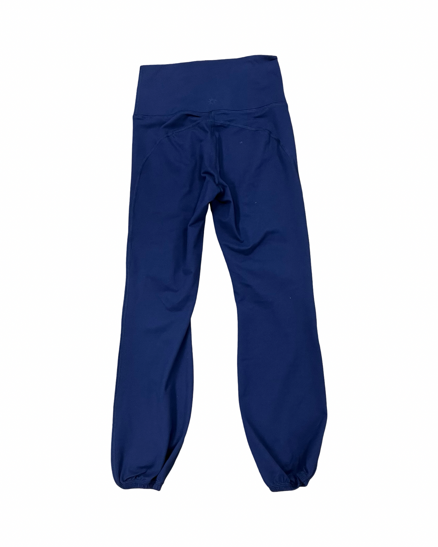 Pants Joggers By Aerie In Blue, Size:M