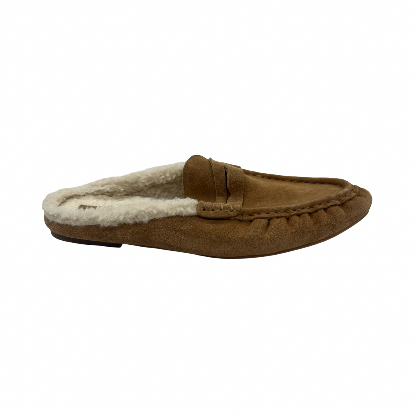Shoes Flats By Steve Madden In Brown, Size:9