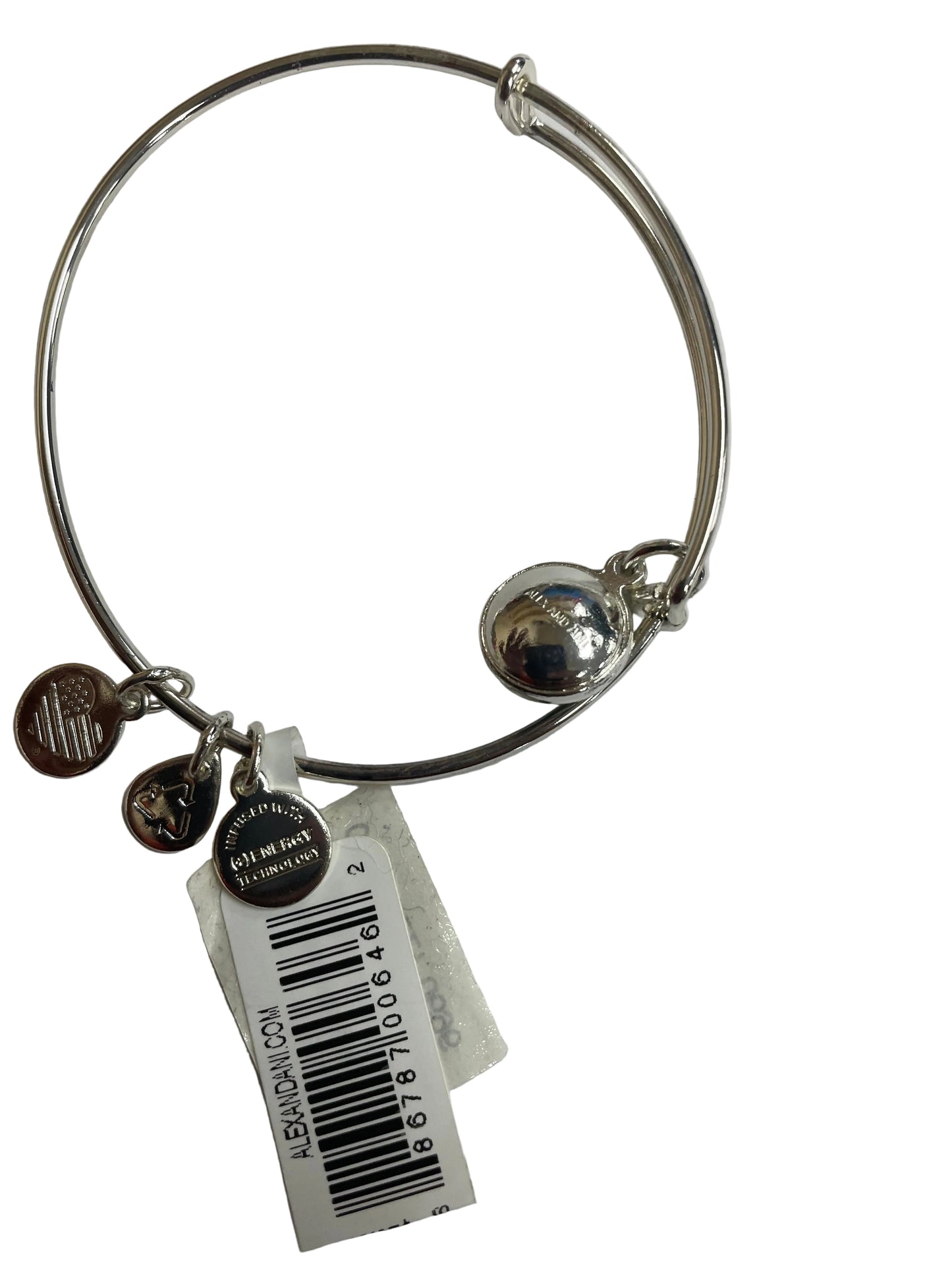 Bracelet Charm By Alex And Ani In Green & Silver
