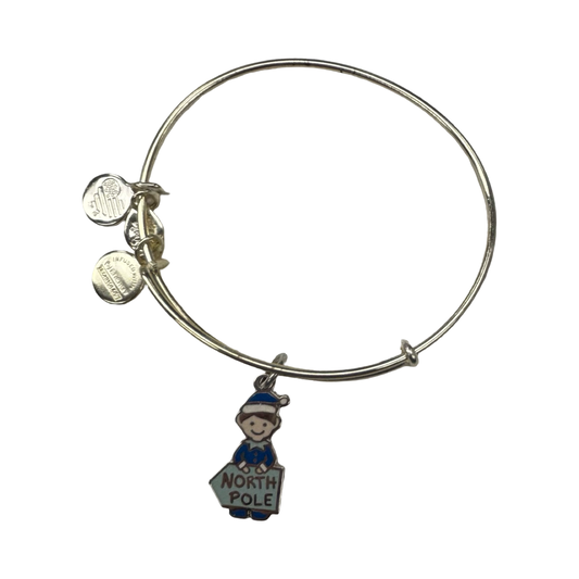 Bracelet Charm By Alex And Ani In Silver