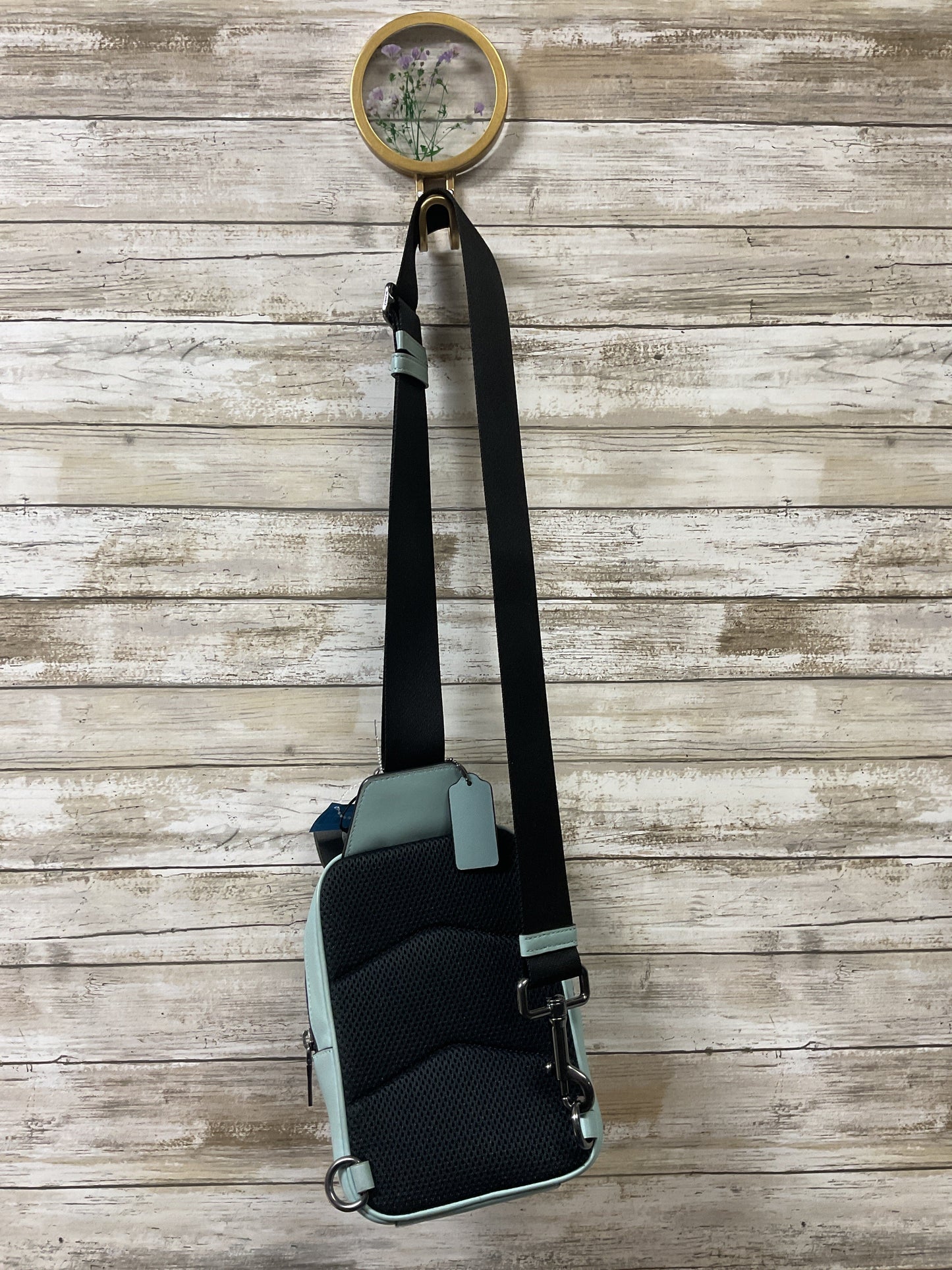 Backpack Designer By Coach In Black & Blue, Size:Small