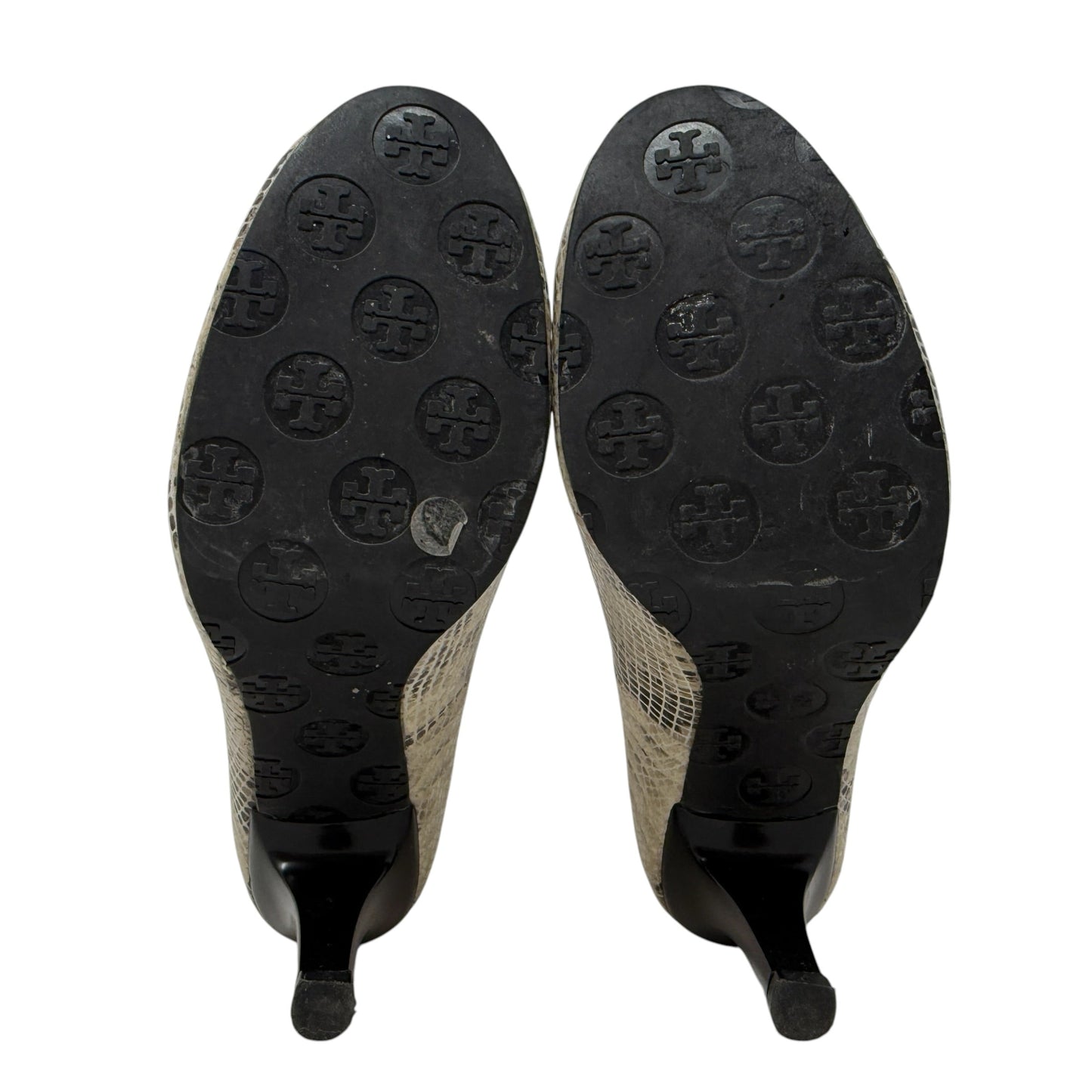 Snakeskin Pumps Designer By Tory Burch In Animal Print, Size: 7.5