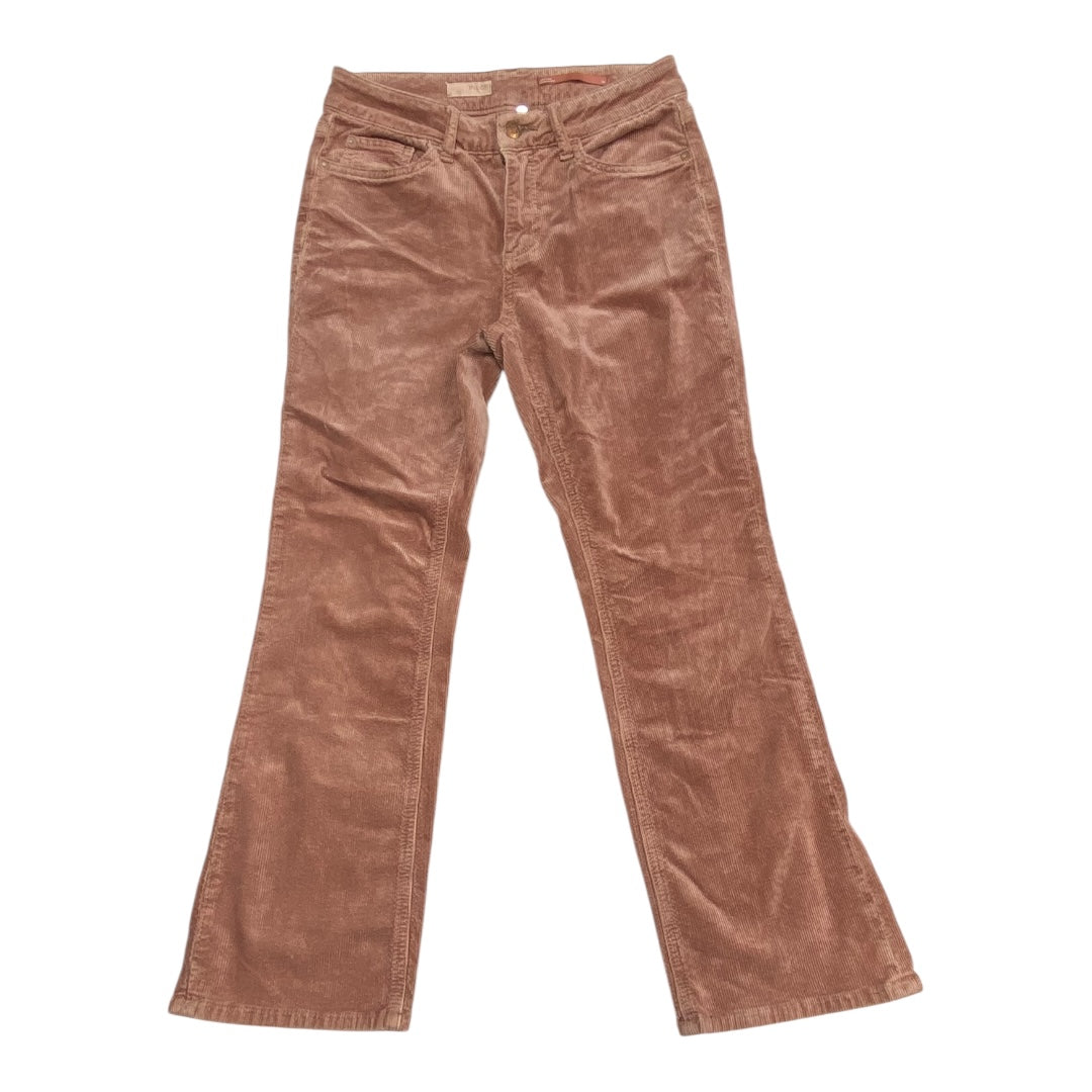 Pants Corduroy By Pilcro In Pink, Size:2