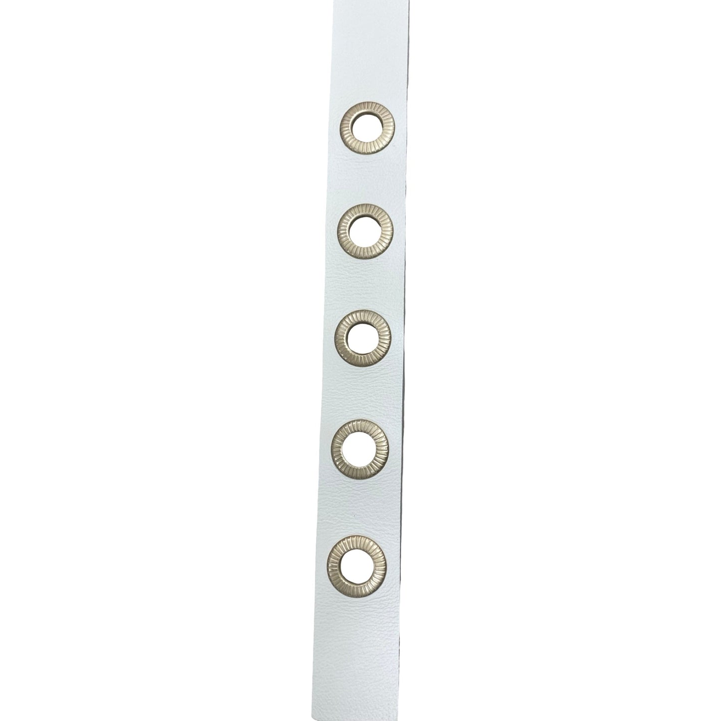 Belt Designer By All Saints In Cream, Size:Xlarge