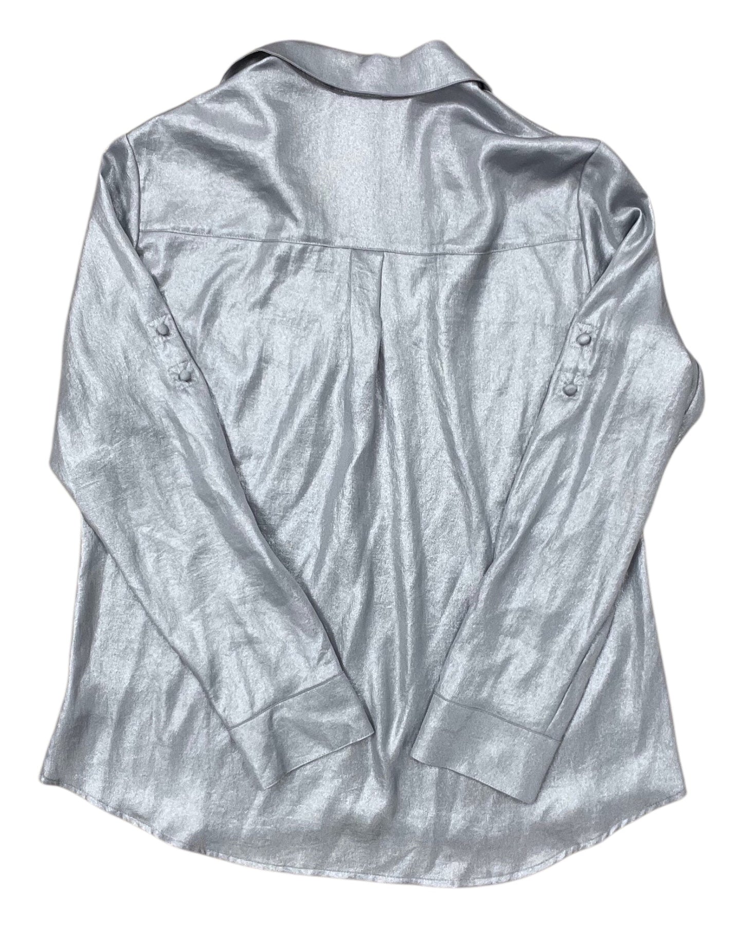 Blouse Ls By Express In Silver, Size:L