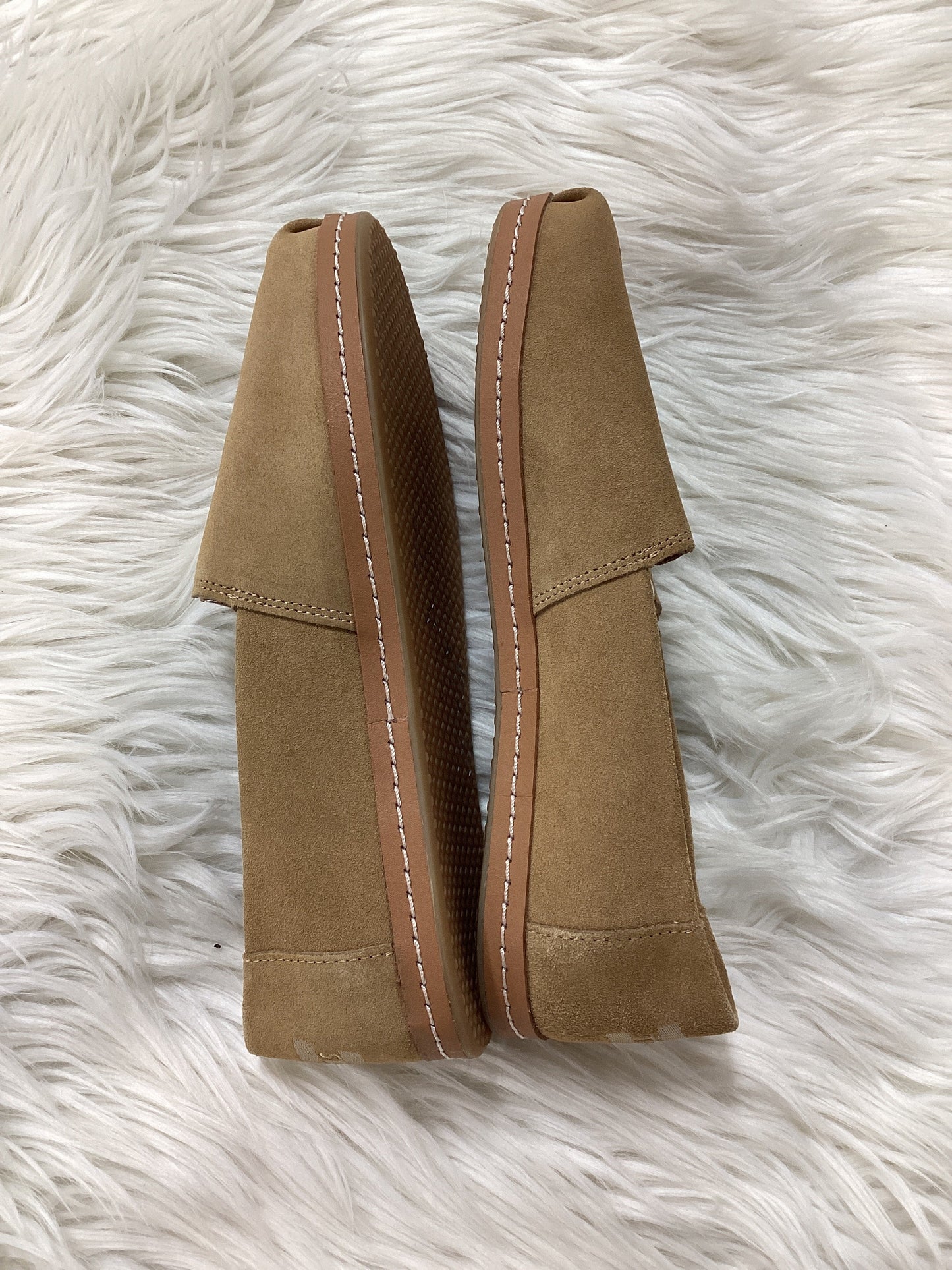Shoes Flats By Toms In Tan, Size:8