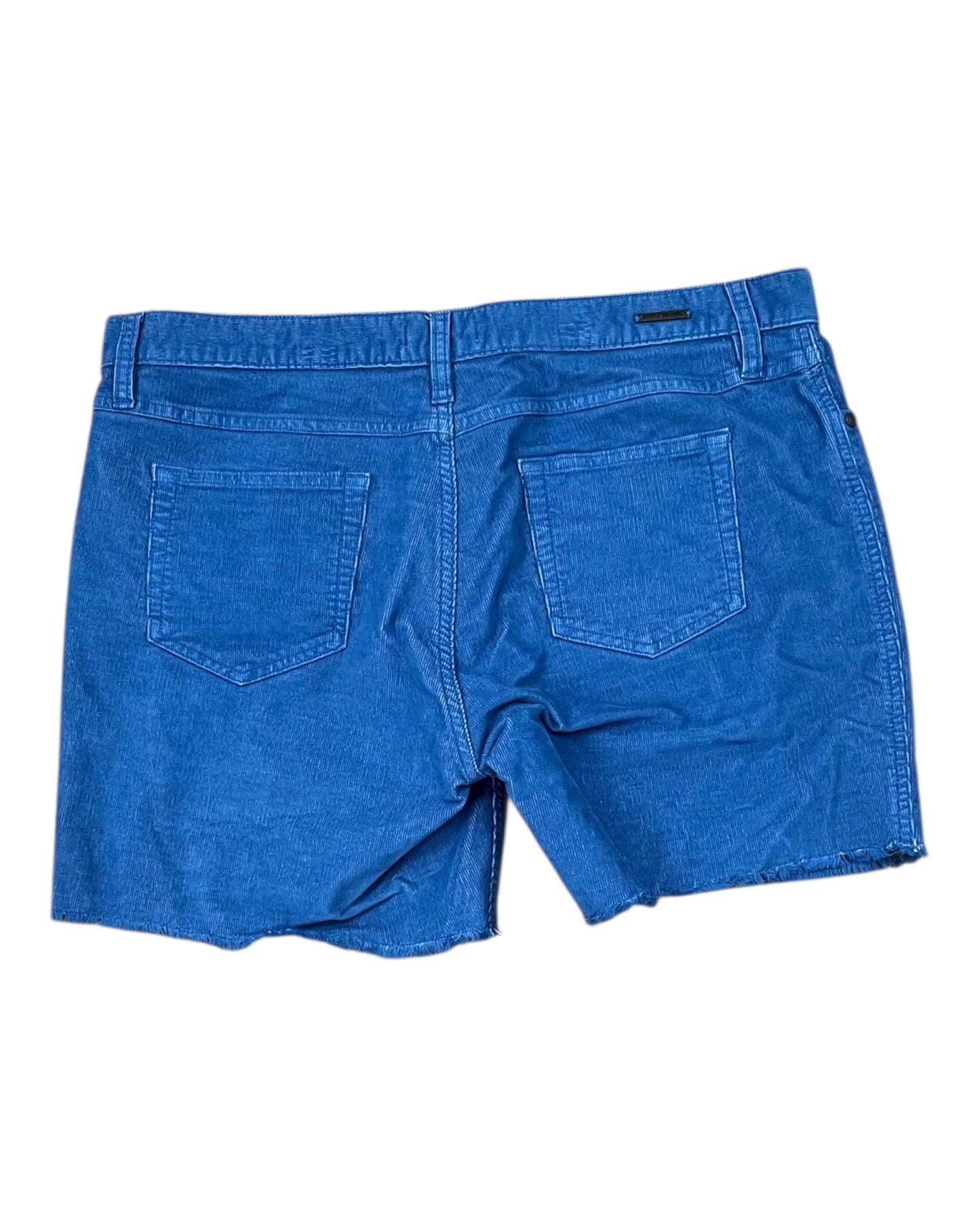 Shorts By Carve Designs In Blue, Size:10