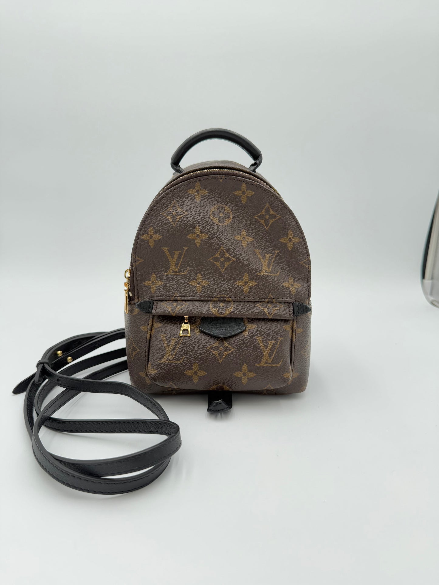 Backpack Luxury Designer By Louis Vuitton, Size: Small