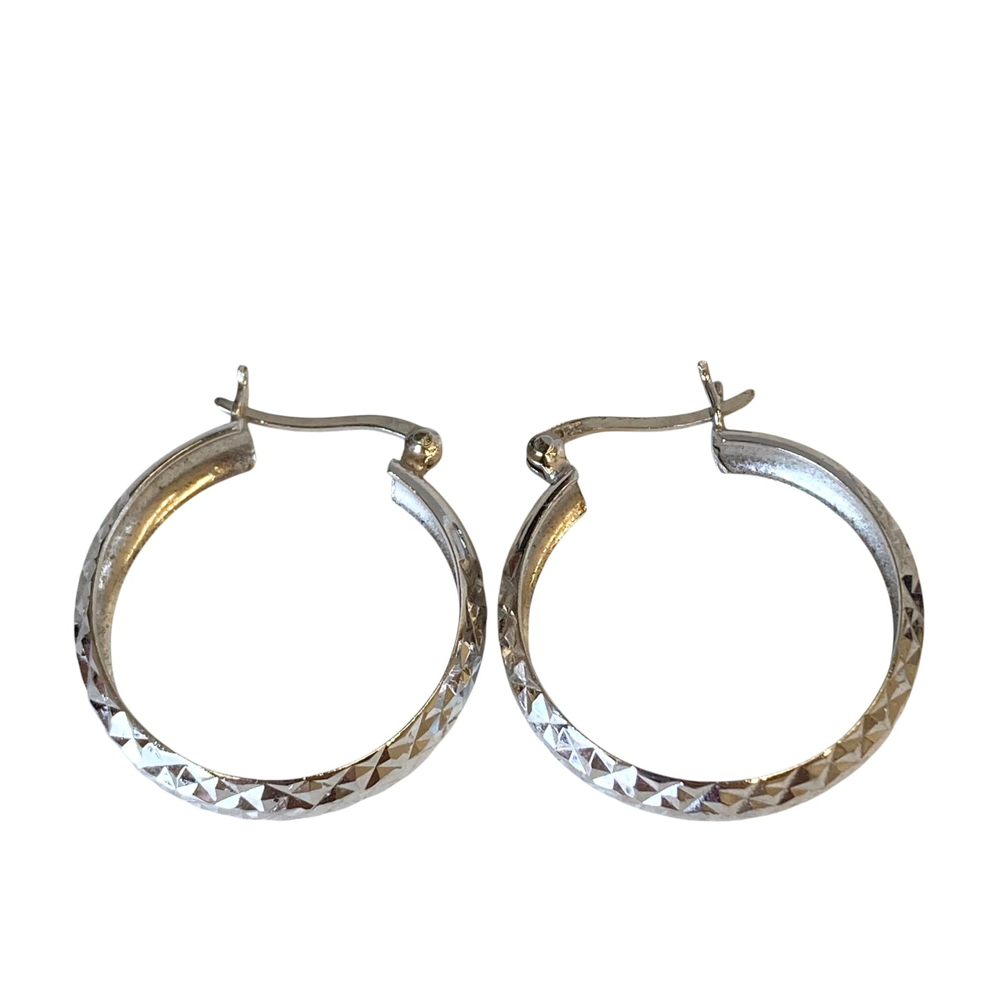 Earrings Hoop