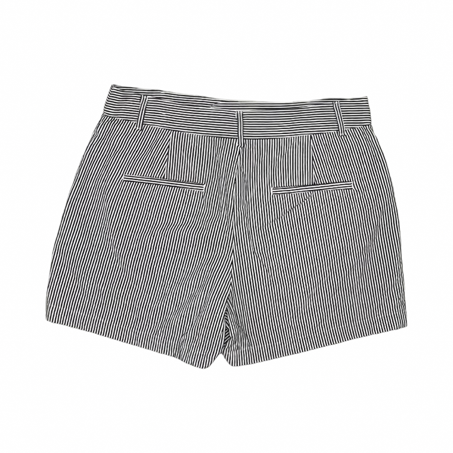 Shorts By Loft In Blue & White, Size:8