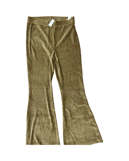Pants Corduroy By Aerie In Green, Size:12