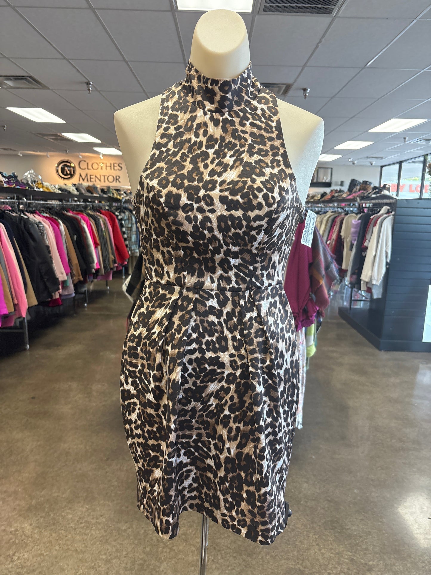 DRESS CASUAL SHORT by    CLOTHES MENTOR In ANIMAL PRINT, Size: XS