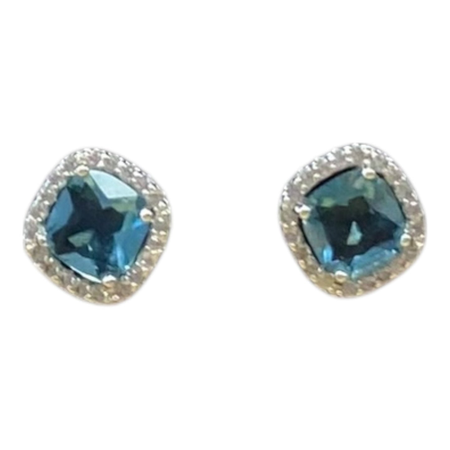 Earrings Stud  In Blue & Silver