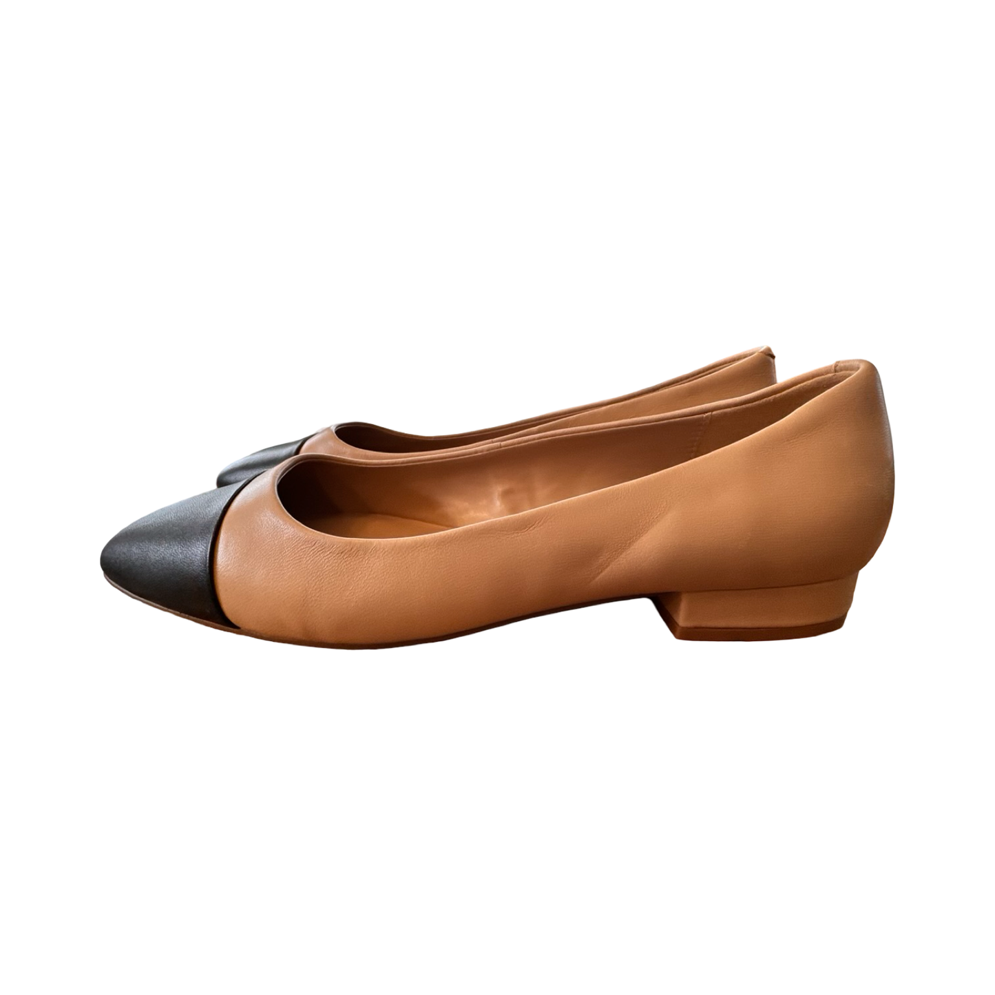 Shoes Flats By Steve Madden In Black & Tan, Size:9.5