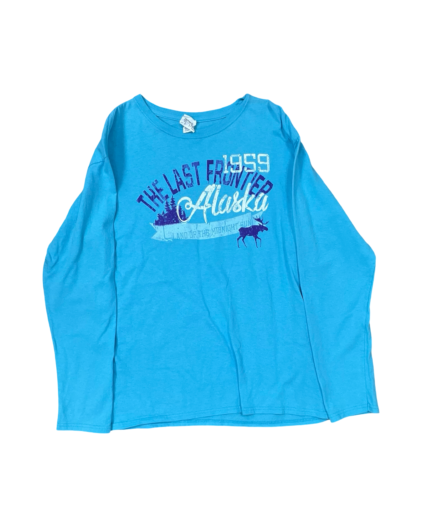 Top Ls By Clothes Mentor In Blue, Size:L