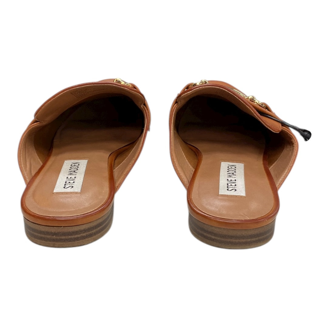 Shoes Flats By Steve Madden In Brown, Size:8.5