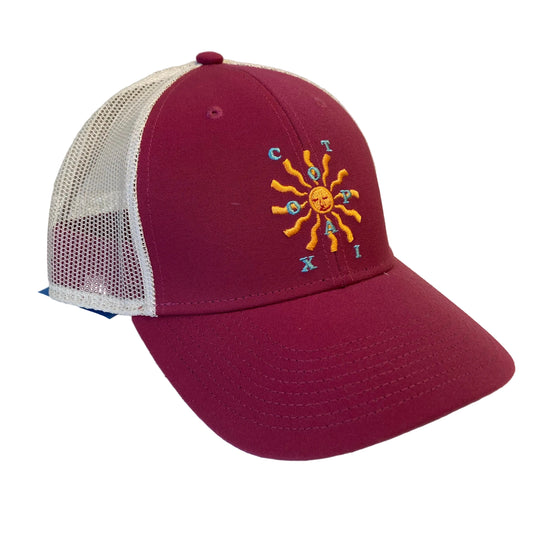 Hat Baseball Cap By Cotopaxi In Mauve