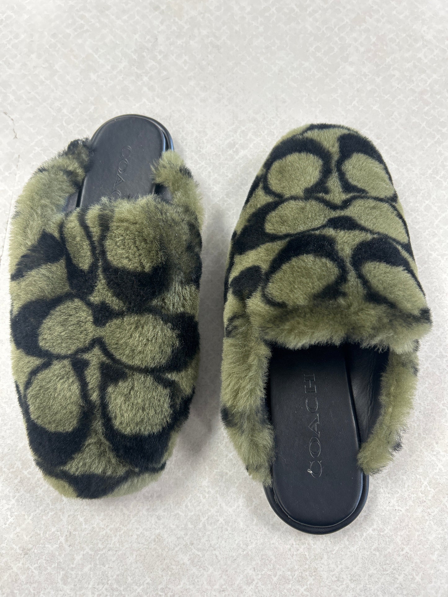 Shoes Designer By Coach In Black & Green, Size:5
